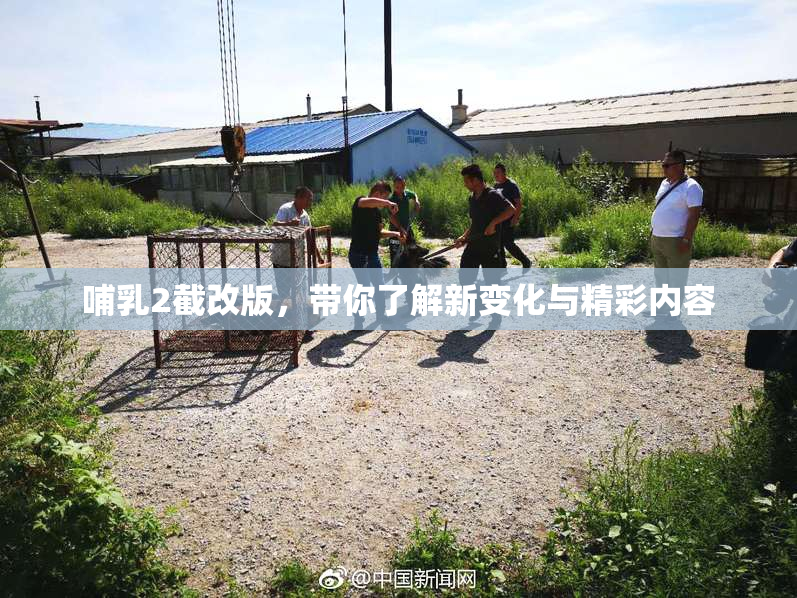 哺乳2截改版，带你了解新变化与精彩内容
