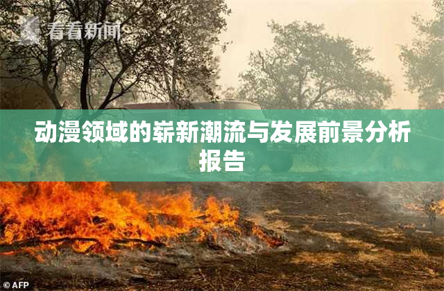 动漫领域的崭新潮流与发展前景分析报告