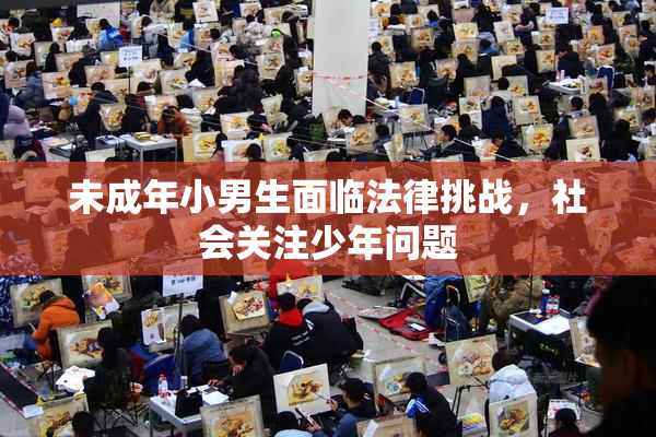 未成年小男生面临法律挑战，社会关注少年问题