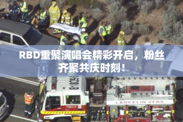 RBD重聚演唱会精彩开启，粉丝齐聚共庆时刻！