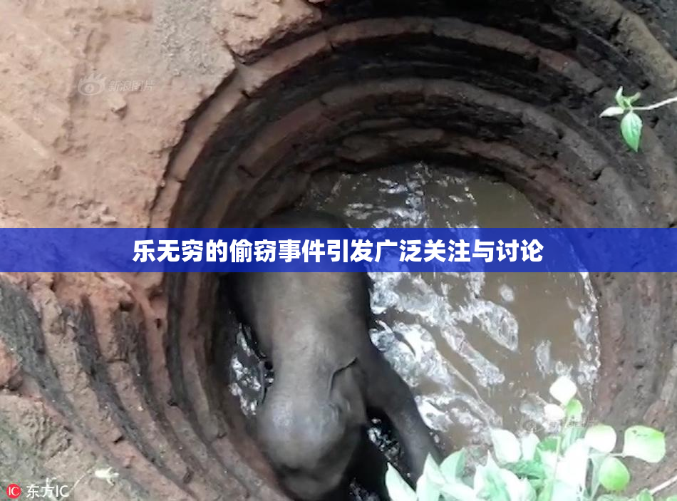 乐无穷的偷窃事件引发广泛关注与讨论
