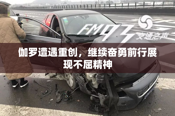 伽罗遭遇重创，继续奋勇前行展现不屈精神