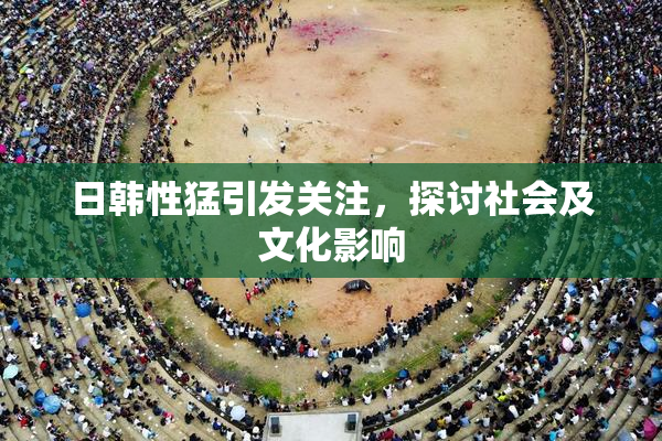 日韩性猛引发关注，探讨社会及文化影响