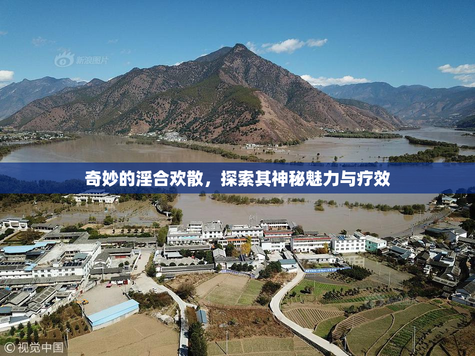 奇妙的淫合欢散，探索其神秘魅力与疗效