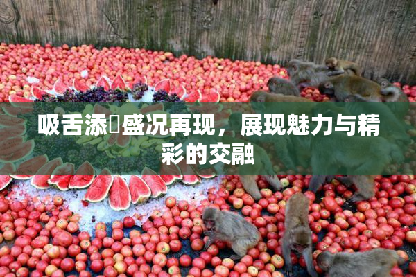 吸舌添泬盛况再现，展现魅力与精彩的交融