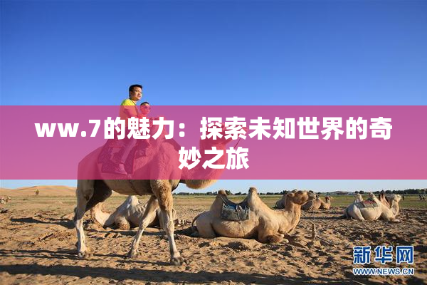 ww.7的魅力：探索未知世界的奇妙之旅