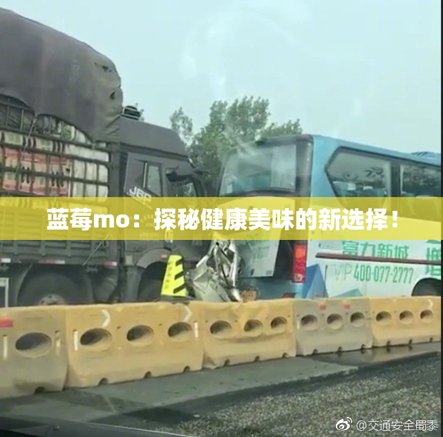 蓝莓mo：探秘健康美味的新选择！