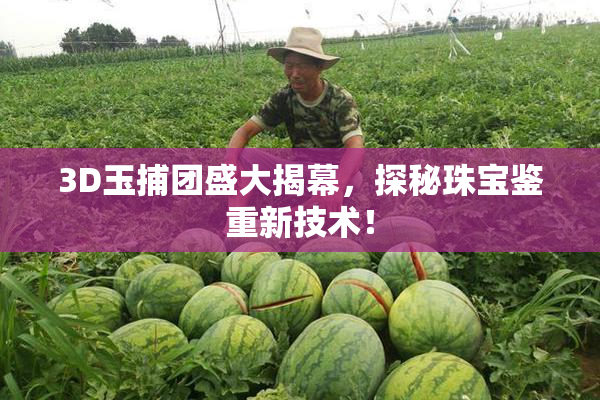 3D玉捕团盛大揭幕，探秘珠宝鉴重新技术！