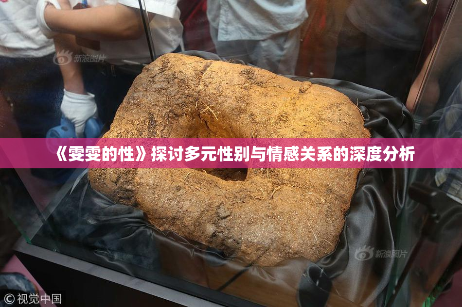 《雯雯的性》探讨多元性别与情感关系的深度分析