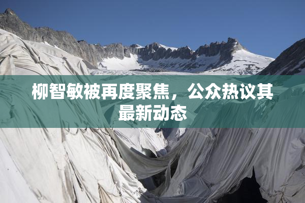 柳智敏被再度聚焦，公众热议其最新动态
