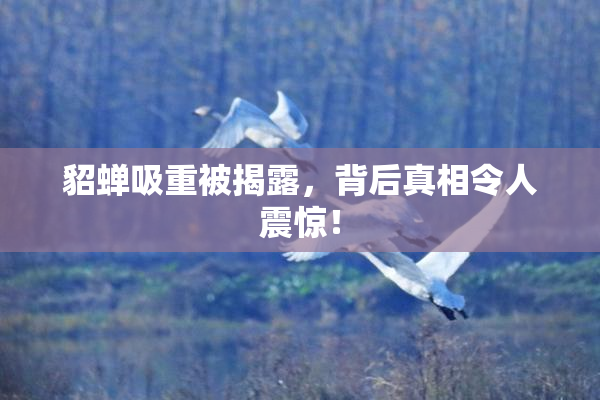 貂蝉吸重被揭露，背后真相令人震惊！