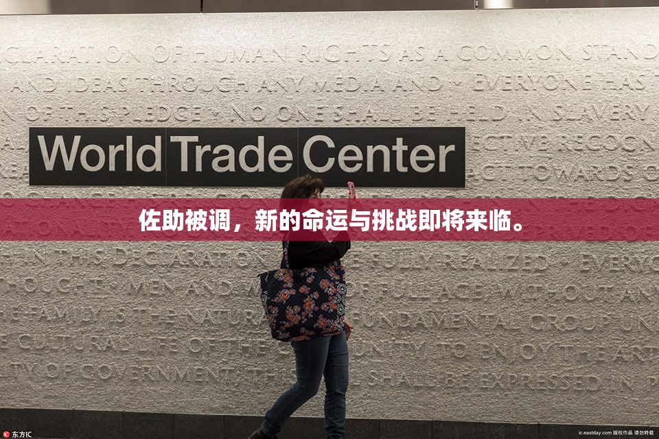 佐助被调，新的命运与挑战即将来临。