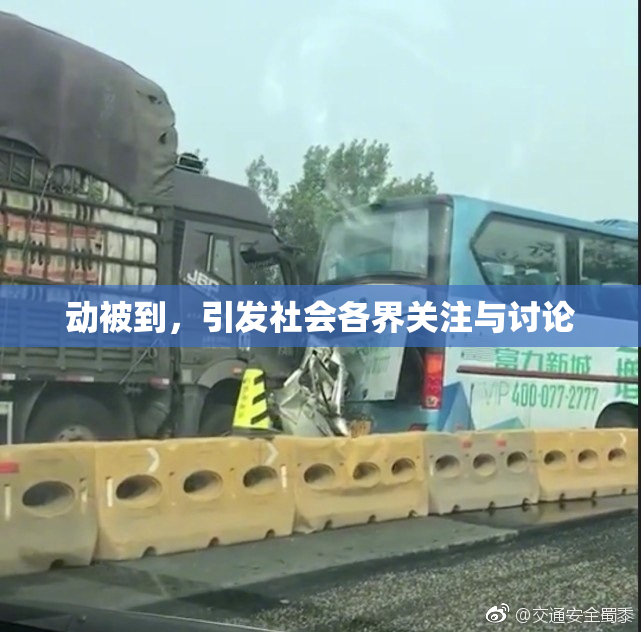 动被到，引发社会各界关注与讨论