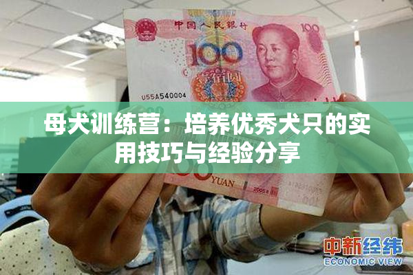 母犬训练营：培养优秀犬只的实用技巧与经验分享