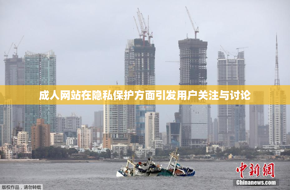 成人网站在隐私保护方面引发用户关注与讨论