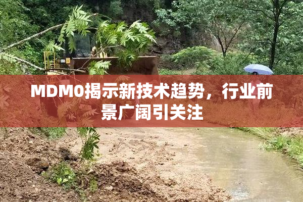 MDM0揭示新技术趋势，行业前景广阔引关注