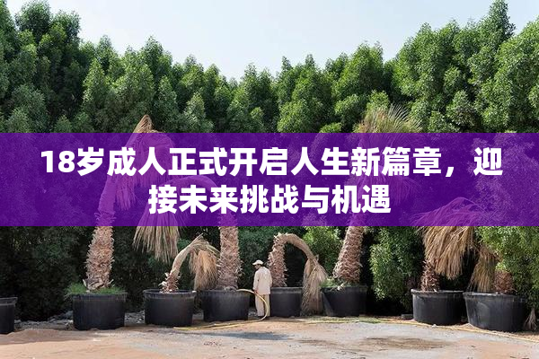 18岁成人正式开启人生新篇章，迎接未来挑战与机遇