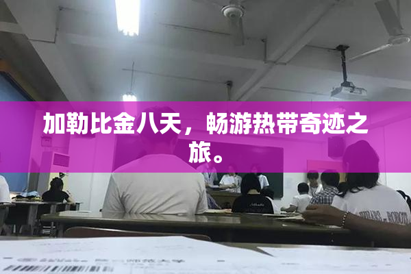 加勒比金八天，畅游热带奇迹之旅。