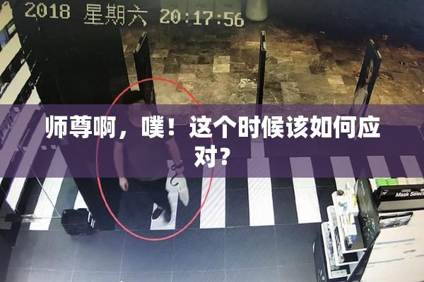 师尊啊，噗！这个时候该如何应对？