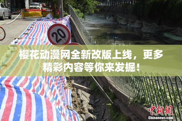 樱花动漫网全新改版上线，更多精彩内容等你来发掘！