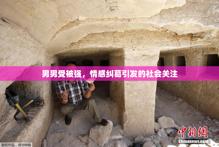 男男受被强，情感纠葛引发的社会关注