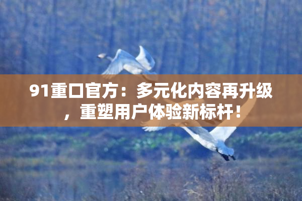 91重口官方：多元化内容再升级，重塑用户体验新标杆！