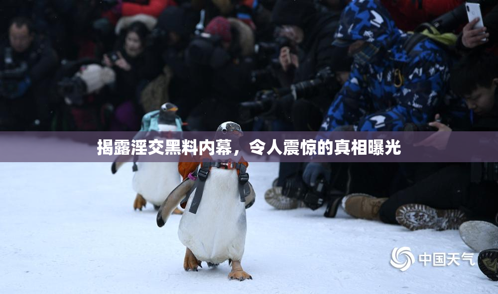 揭露淫交黑料内幕，令人震惊的真相曝光