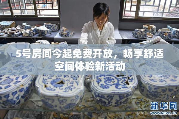 5号房间今起免费开放，畅享舒适空间体验新活动