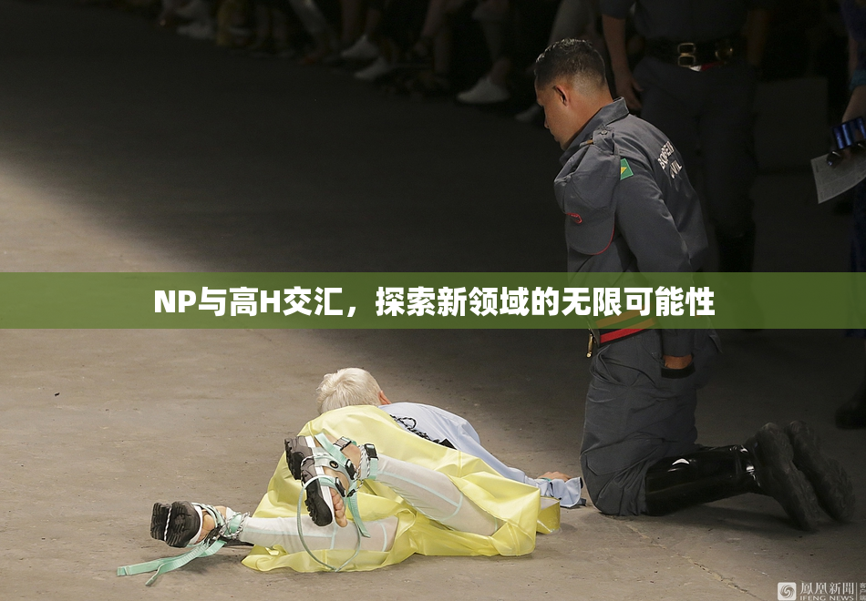 NP与高H交汇，探索新领域的无限可能性