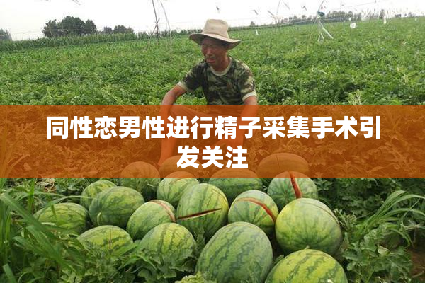 同性恋男性进行精子采集手术引发关注