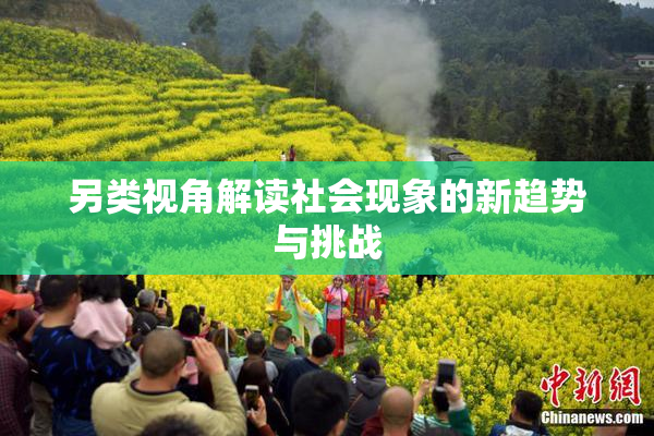 另类视角解读社会现象的新趋势与挑战