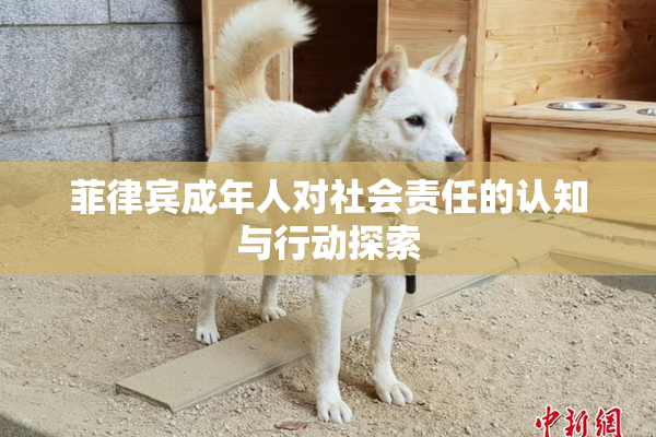 菲律宾成年人对社会责任的认知与行动探索