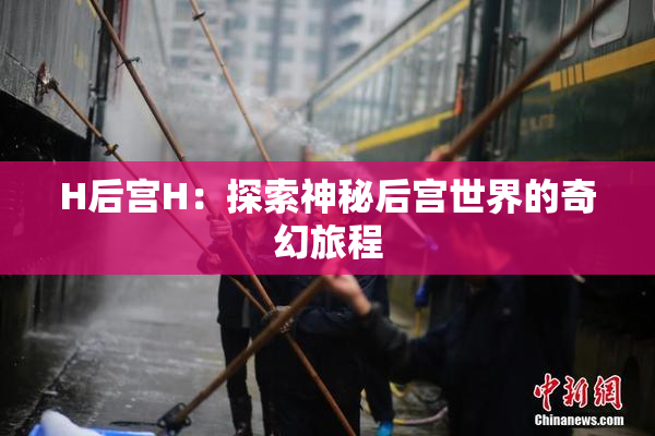 H后宫H：探索神秘后宫世界的奇幻旅程