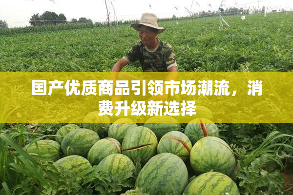 国产优质商品引领市场潮流，消费升级新选择