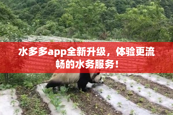 水多多app全新升级，体验更流畅的水务服务！