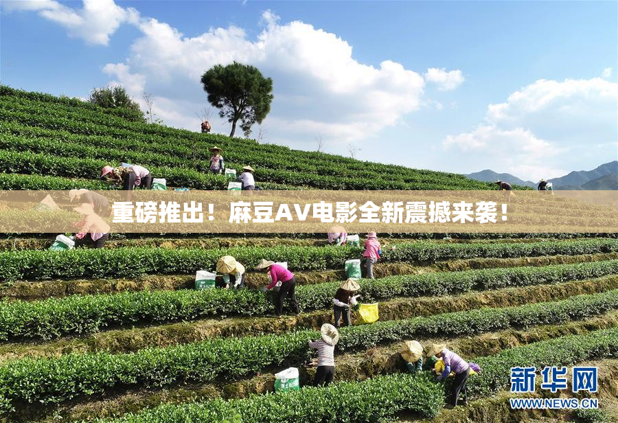 重磅推出！麻豆AV电影全新震撼来袭！