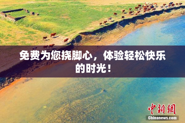 免费为您挠脚心，体验轻松快乐的时光！