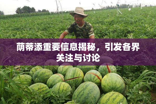 荫蒂添重要信息揭秘，引发各界关注与讨论