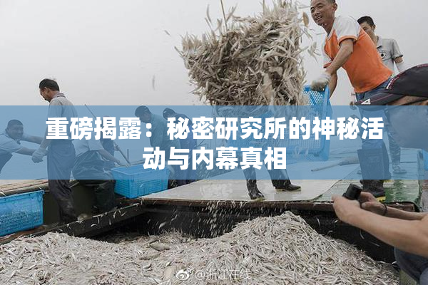重磅揭露：秘密研究所的神秘活动与内幕真相