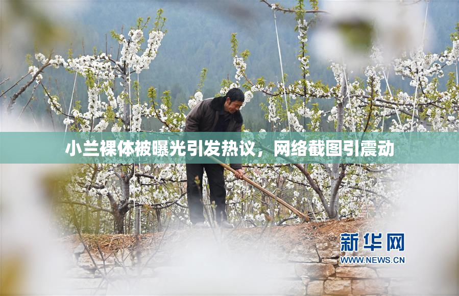 小兰裸体被曝光引发热议，网络截图引震动