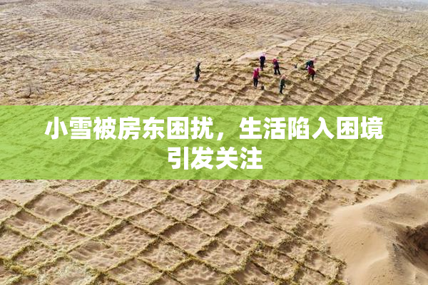 小雪被房东困扰，生活陷入困境引发关注