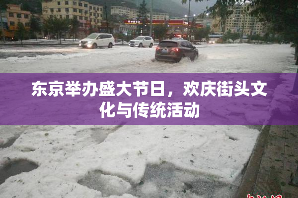 东京举办盛大节日，欢庆街头文化与传统活动