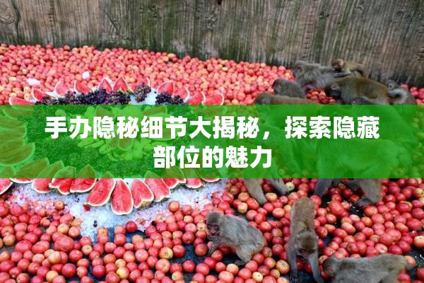 手办隐秘细节大揭秘，探索隐藏部位的魅力