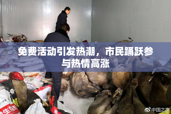 免费活动引发热潮，市民踊跃参与热情高涨