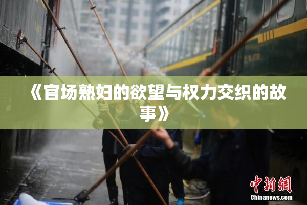 《官场熟妇的欲望与权力交织的故事》