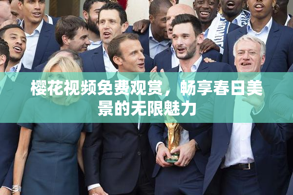 樱花视频免费观赏，畅享春日美景的无限魅力