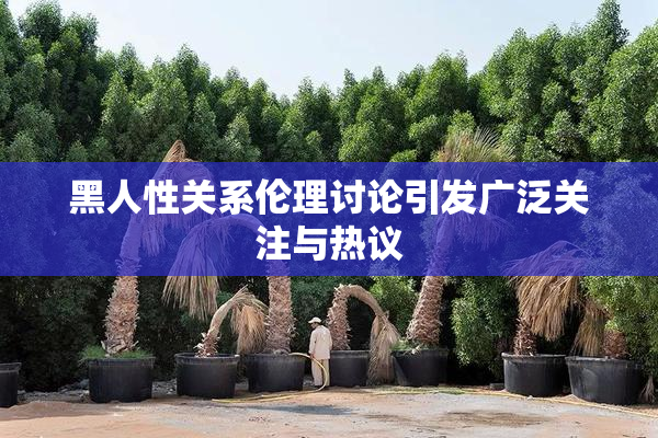 黑人性关系伦理讨论引发广泛关注与热议