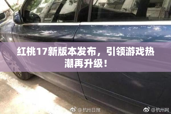 红桃17新版本发布，引领游戏热潮再升级！