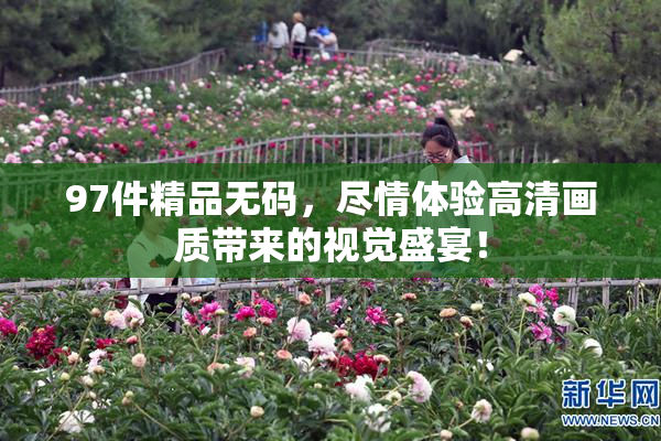 97件精品无码，尽情体验高清画质带来的视觉盛宴！