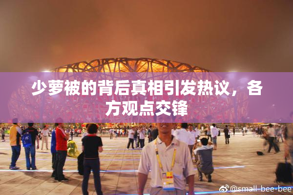 少萝被的背后真相引发热议，各方观点交锋